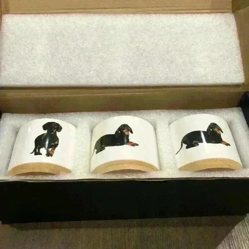 NEW Dachshund Mini Ceramic Flower Pots (3) with Bamboo Detachable Bases